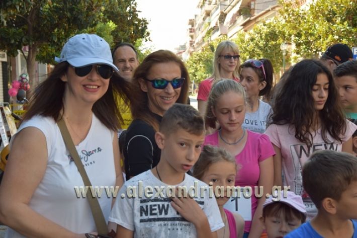 alexandriamou_1_alexandrinos_dromos028